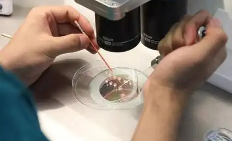 东莞打破偏见的生命礼赞：同性生子背后的爱与坚守